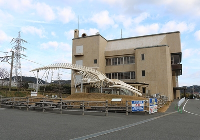 和田町の鯨資料館横にはシロナガスクジラのレプリカがある