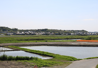 田園地帯