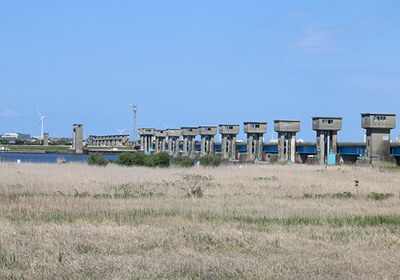 河口堰