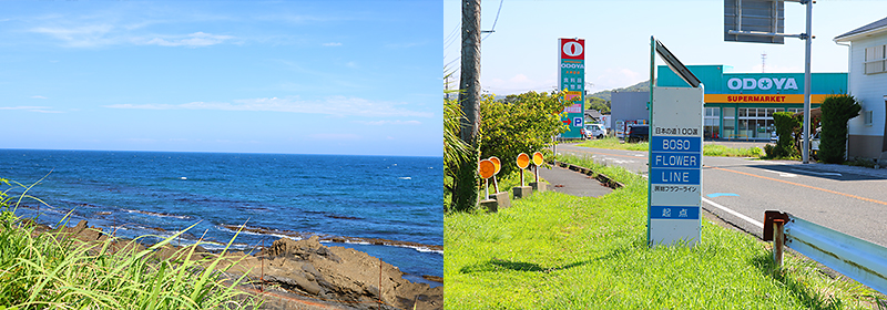 フラワーラインから伊豆大島